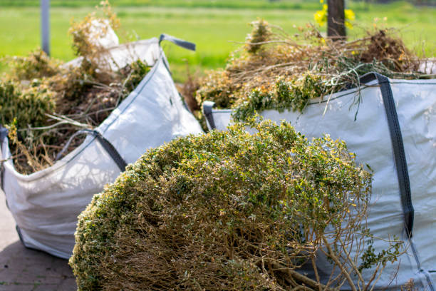Best Basement Cleanout Services  in Iola, WI