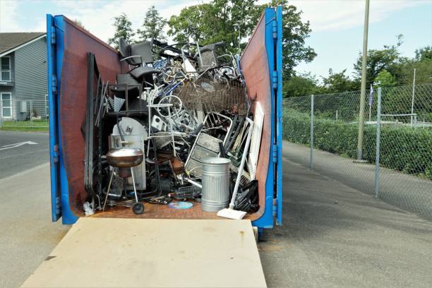 Yard Cleanup Services in Iola, WI